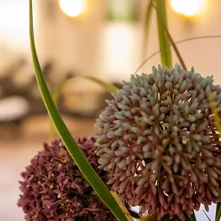 Golf- Und Wellnesshotel Amtsheide 4*