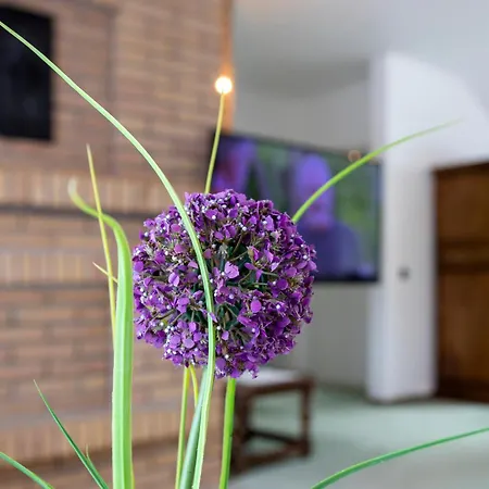 Golf- Und Wellnesshotel Amtsheide 4* Bad Bevensen